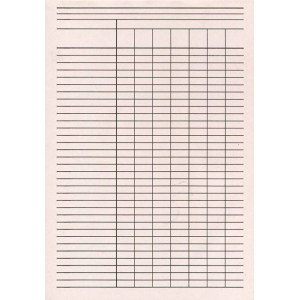 Пустографка А4 газетная двусторонняя вертикальная 100 лист. блок (R44362)