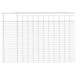 Пустографка А4 офсетная односторонняя горизонтальная 100 лист. блок (R44185)