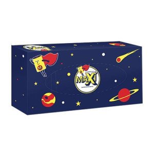 Салфетки косметические Maxi двухслойные 100 шт. (021127)