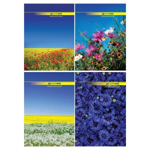 Тетрадь Buromax А4 в твердой обложке 96 листов в клеточку (BM.2400) Тетрадь Buromax А4 в твердой обложке 96 листов в клеточку (BM.2400)