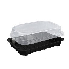 Контейнер одноразовый для суши без перегородки с крышкой 180х130х20 мм (ПС-63)