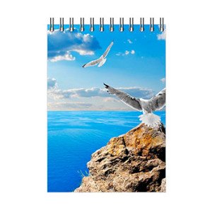 Блокнот Romus A6 96 листов в клеточку верхняя спираль (R44262)