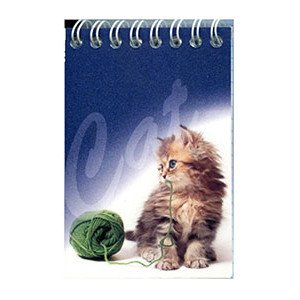 Блокнот Romus A7 48 листов в клеточку верхняя спираль (R44359)