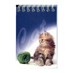 Блокнот Romus A7 80 листов в клеточку верхняя спираль (R44318)