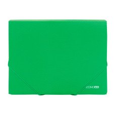 Папка на резинках Economix A4 Зеленая (E31601-04)