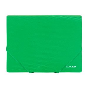 Папка на резинках Economix A4 Зеленая (E31601-04)