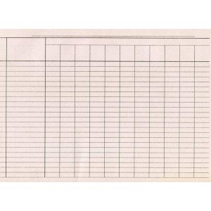 Пустографка А4 газетная односторонняя горизонтальная 100 лист. блок (R44363)