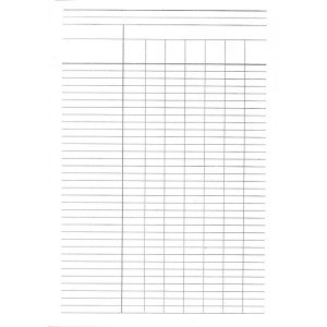 Пустографка А4 офсетная двусторонняя вертикальная 100 лист. блок (R44365)