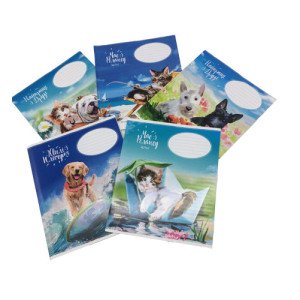 Тетрадь косая линия Школярик Ассорти 12 листов (70456) Тетрадь косая линия Школярик Ассорти 12 листов (70456)