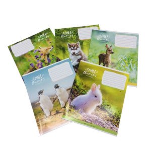 Тетрадь линейка Школярик Ассорти 12 листов (470449)